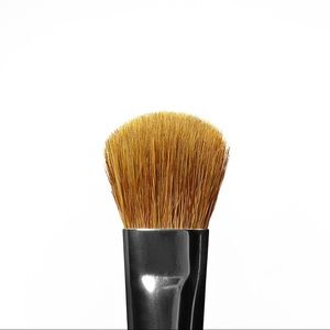 Anastasia A24 Pro Medium Shadow Brush